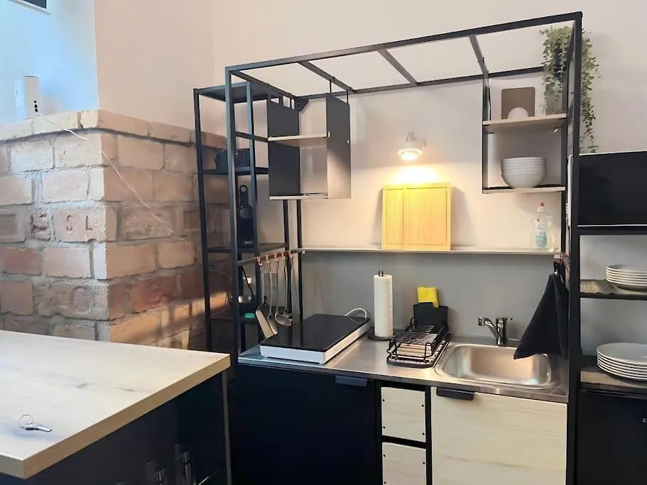 Gemuetliche Wohnung, Ideal Fuer City Und Wu Vienna Apartment